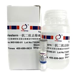 Western一抗二抗去除液（中性，劇烈型）