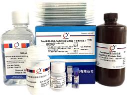 Tris-醋酸-SDS-PAGE電泳試劑盒（變性電泳，含預(yù)制膠）